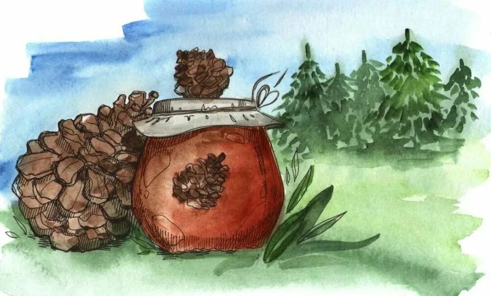 Веточка сосны в инее. Сказка шишки. Сказка про белку. Корзина еловых шишек паустовский. Сергей козлов сосновая шишка.