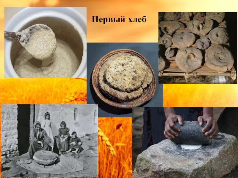 Первый хлеб текст. Первый хлеб. Хлеб в древности. Первый хлеб для дошкольников. Хлеб на Руси в древности.