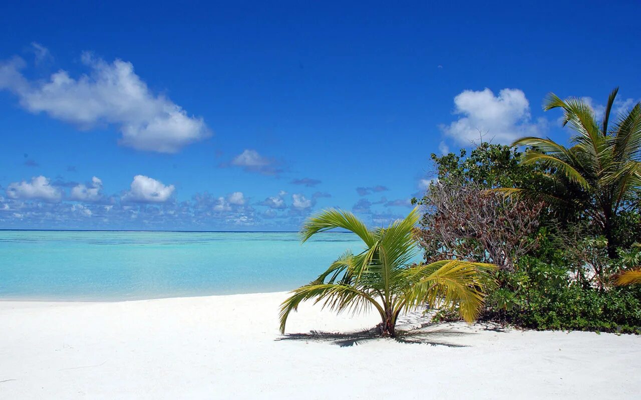 Mar caribe