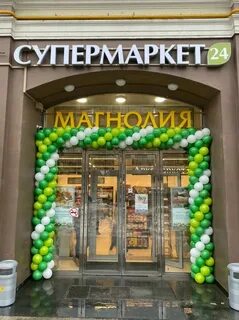 Магнолия кутузовский