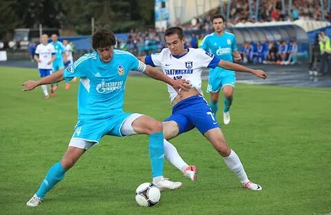 Кубань волгарь