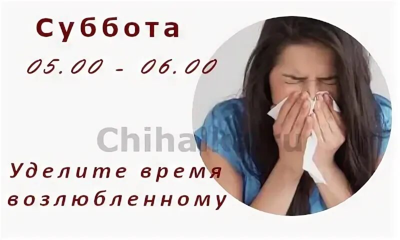 Чихалка среда по времени