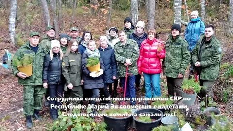 Уржумское лесничество марий эл