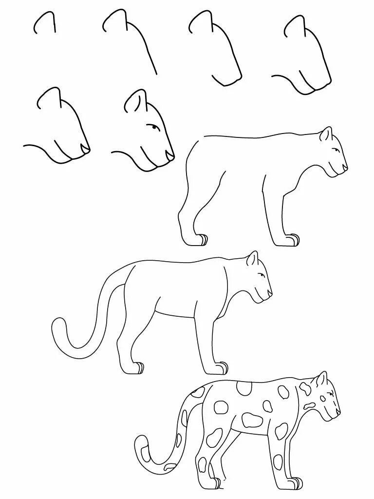 Рисунок животного. Рисование животных для детей. Рисунки животных для детей легкие. Рисунки животных для срисовки лёгкие. Как нарисовать любое животное