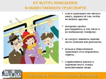 Зачем знать правила поведения в общественных
