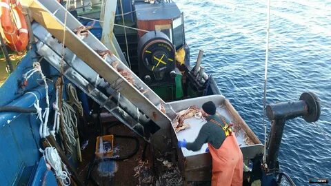 Работа в море старшим механиком