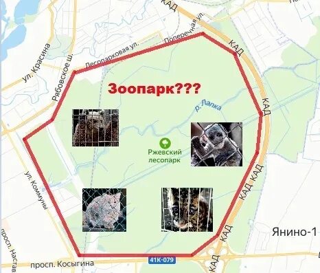 Ржевский лесопарк карта с дорожками. Ржевский лесопарк. Ржевский лесопарк санкт-петербург. Ржевский лесопарк санкт-петербург на карте. Ржевский лесопарк карта.