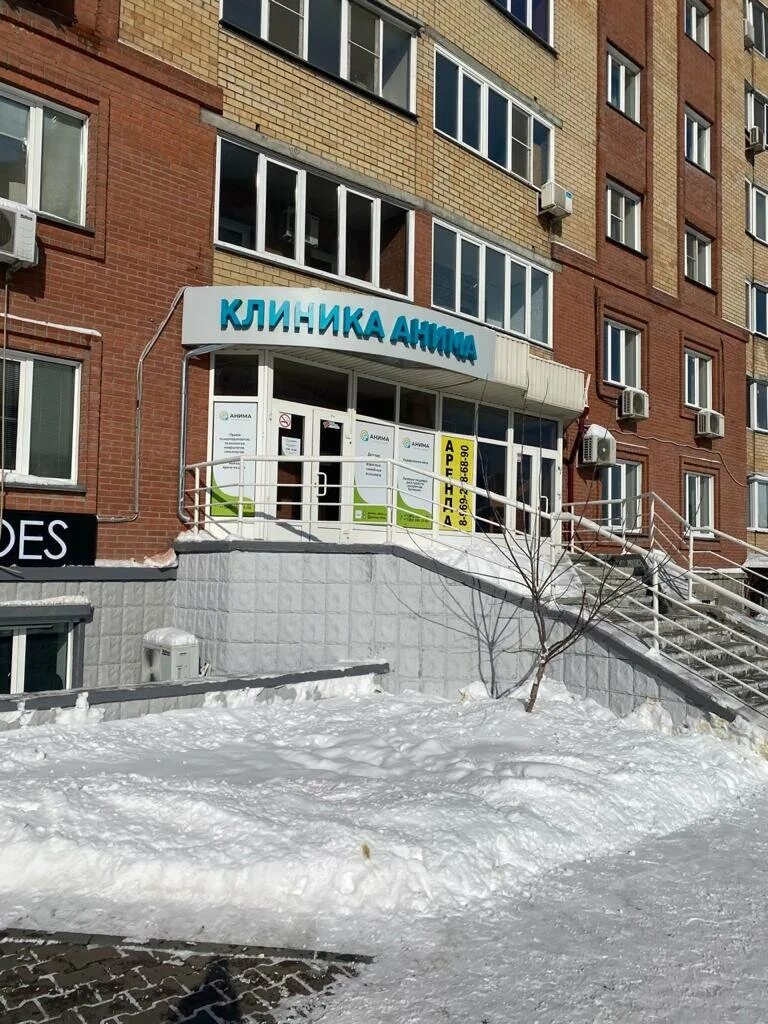 Анима семьи шамшиных. Клиника рассвет столярный переулок. Семьи шамшиных 18/1. Семьи шамшиных, 30. Улица семьи шамшиных 30.