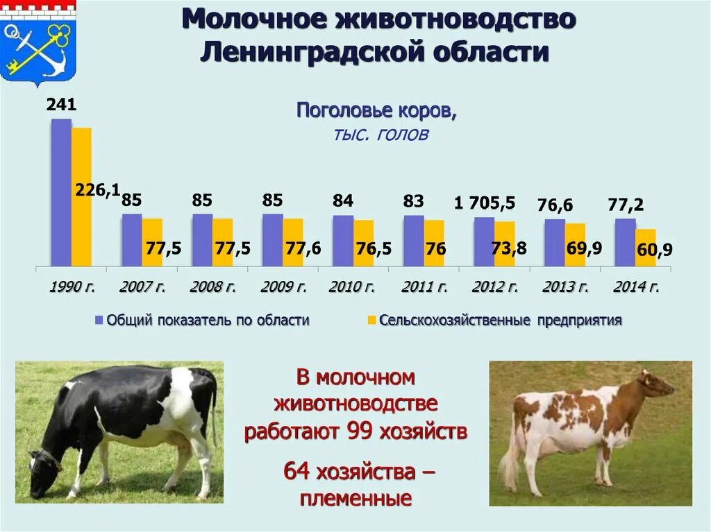 Животноводство в Ленобласти. Страны молочного животноводства. Скотоводство в Ленинградской области. Молочное животноводство.
