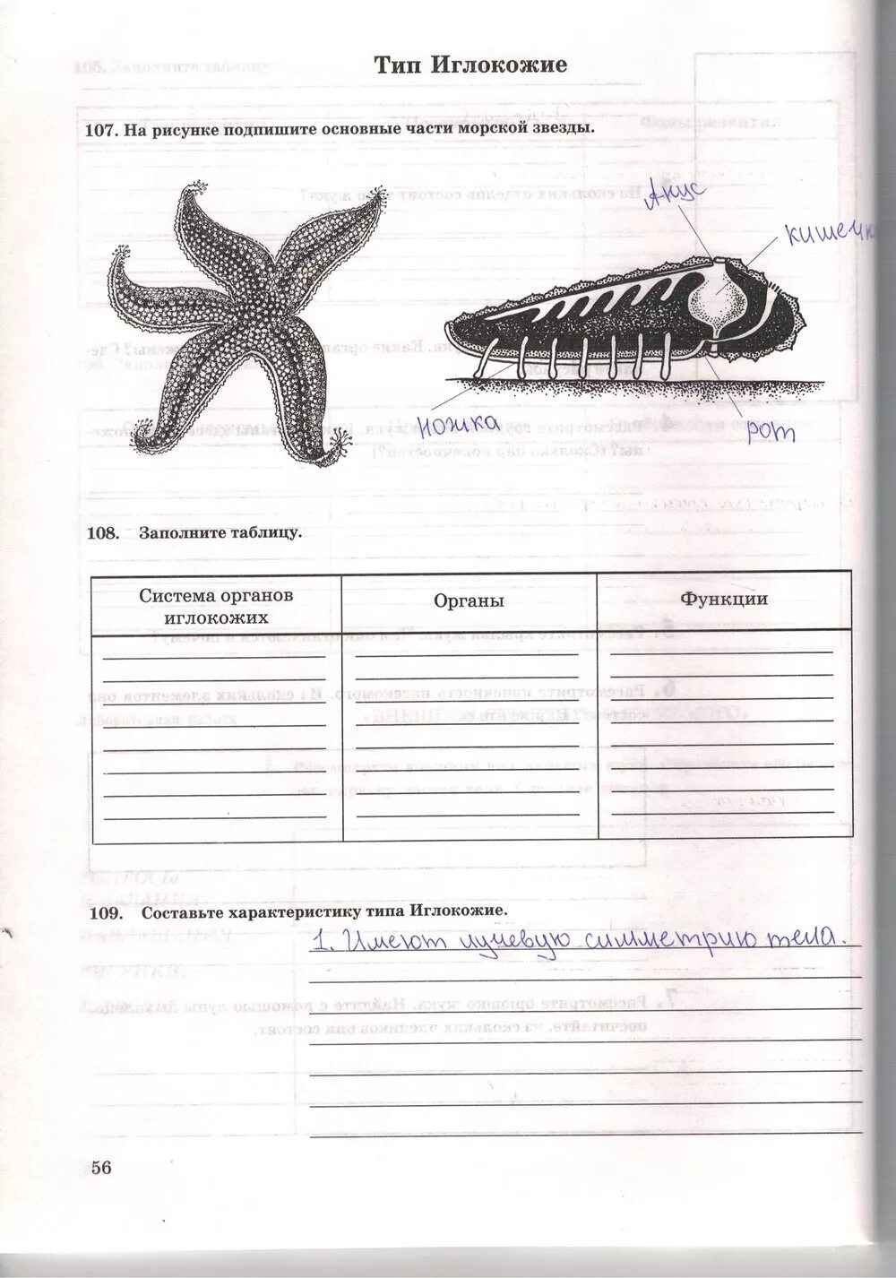 Задание по биологии 7 класс рабочая тетрадь. Таблица классы иглокожих 7 класс биология. таблица иглокожие 7 класс биология. таблица тип иглокожие 7 класс биология.