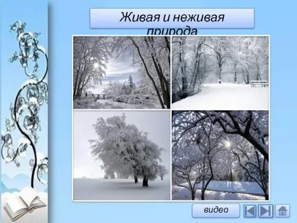 Живая природа зимой 2 класс примеры