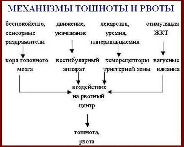 Почему тошнит и что делать. Механизм развития рвоты схема. Механизм развития рвоты при инфекции. Постоянное чувство тошноты без рвоты причины. Причины рвоты.