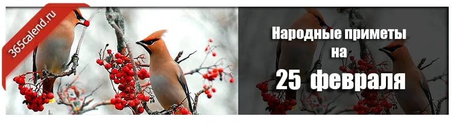 Приметы на 12 февраля 2024 года. 9 мая приметы. Трехсвятие, васильев день. Приметы на 12 февраля 2024 года. 9 мая приметы.