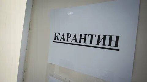 Карантин по бешенству в москве 2024