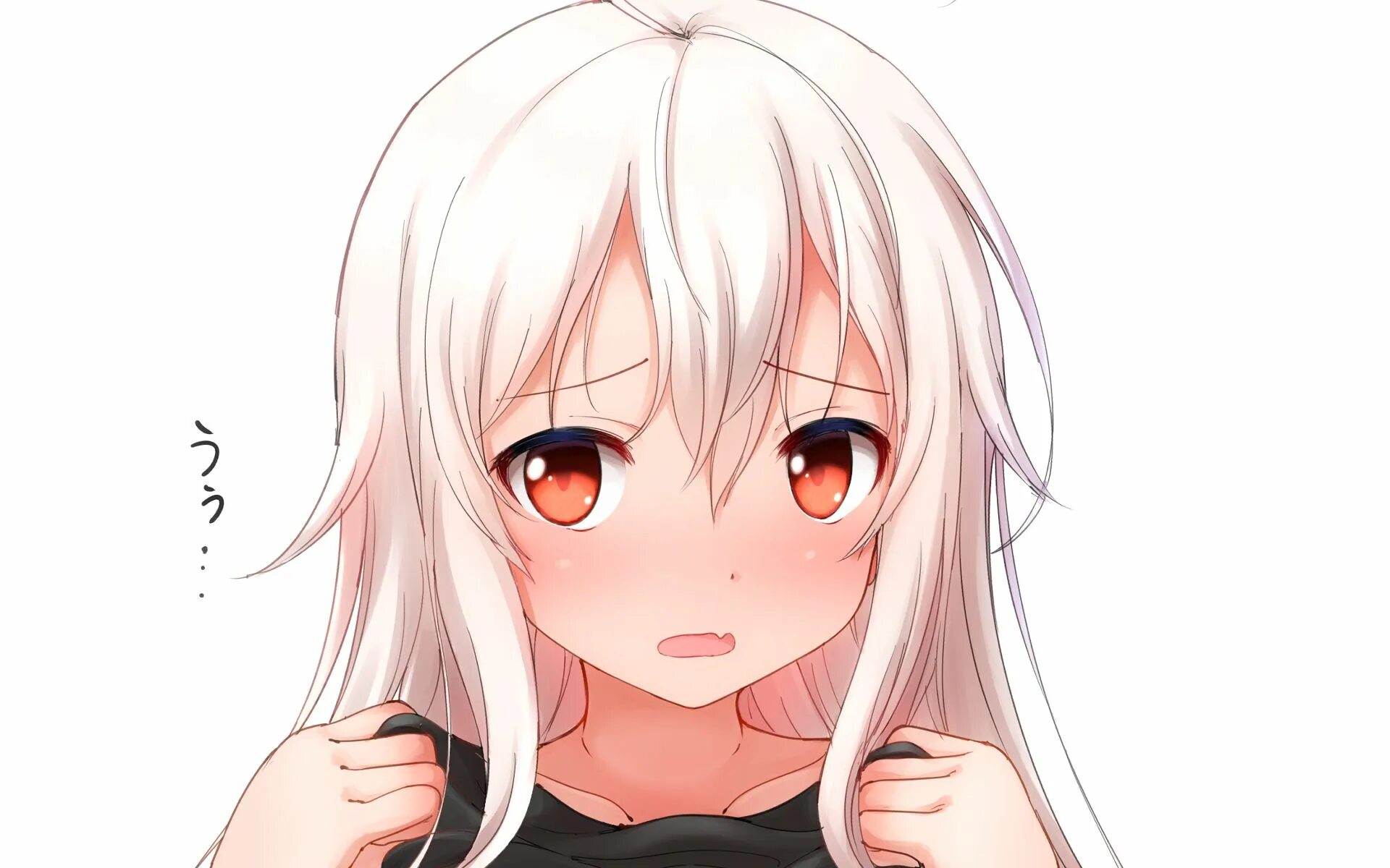 Ава белой тянки. Ава белой тянки. Ава белой тянки. Haegiwa shiroi. Хибики няша.