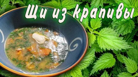 Сколько варить крапиву