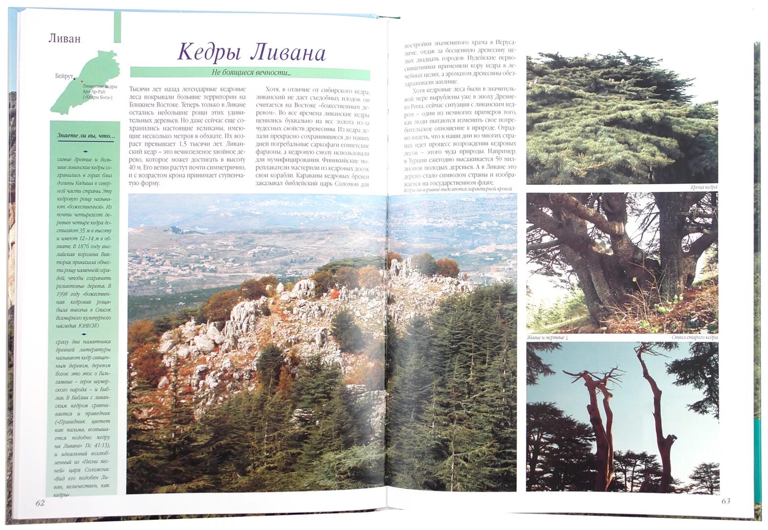 Самое известное чудо. Знаменитые чудеса востока михаил шахов илья маневич книга. Гейзер флай, сша. Национальный парк брайс- каньо́н национальный парк сша,. Книга самые-самые чудеса света.