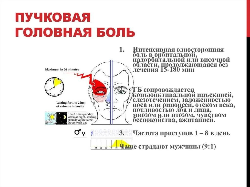 Болит центр головы. Типы головной боли. Зоны головной боли. Локализация головной боли и причины. Виды головной боли по локализации.