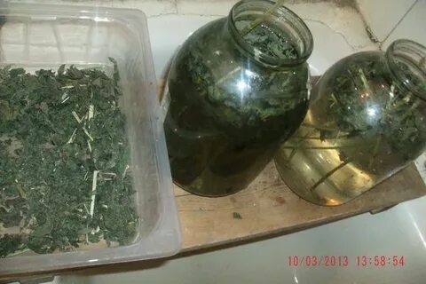 Настой для аквариума