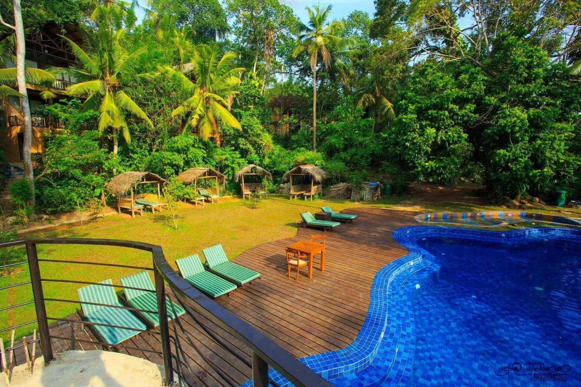 Джангл Бич Шри Ланка. Шри Ланка отель в джунглях. Jungle Village by Thawthisa 4* (Унаватуна). Jungle House Унаватуна.