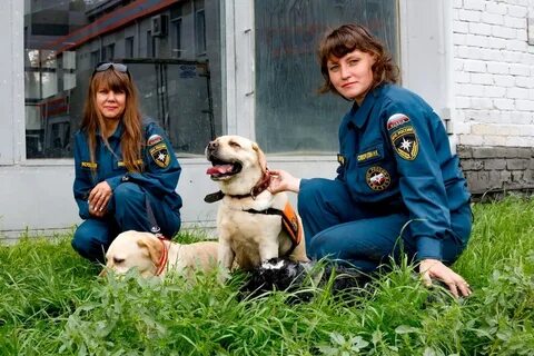 Сколько лет кинологической службе в 2024