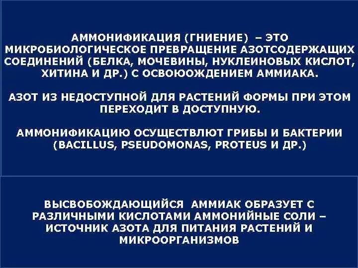 Аммонификация. Превращение азотсодержащих веществ. Превращения азотсодержащих соединений. Аммонификация белков микроорганизмами. Сущность процесса аммонификации.