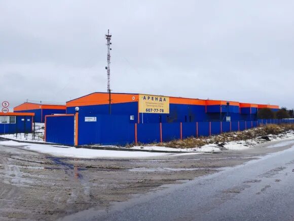 Диком красноборская ул 14 г тельмана фото