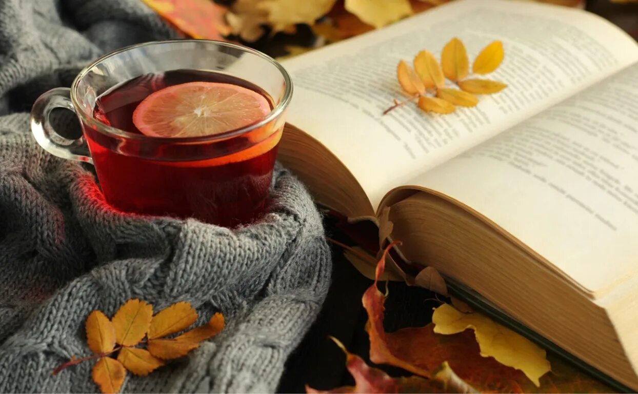 Книга "чай". Чашка чая читать. Чашка чая. Чай на столе. Уютный плед камин.
