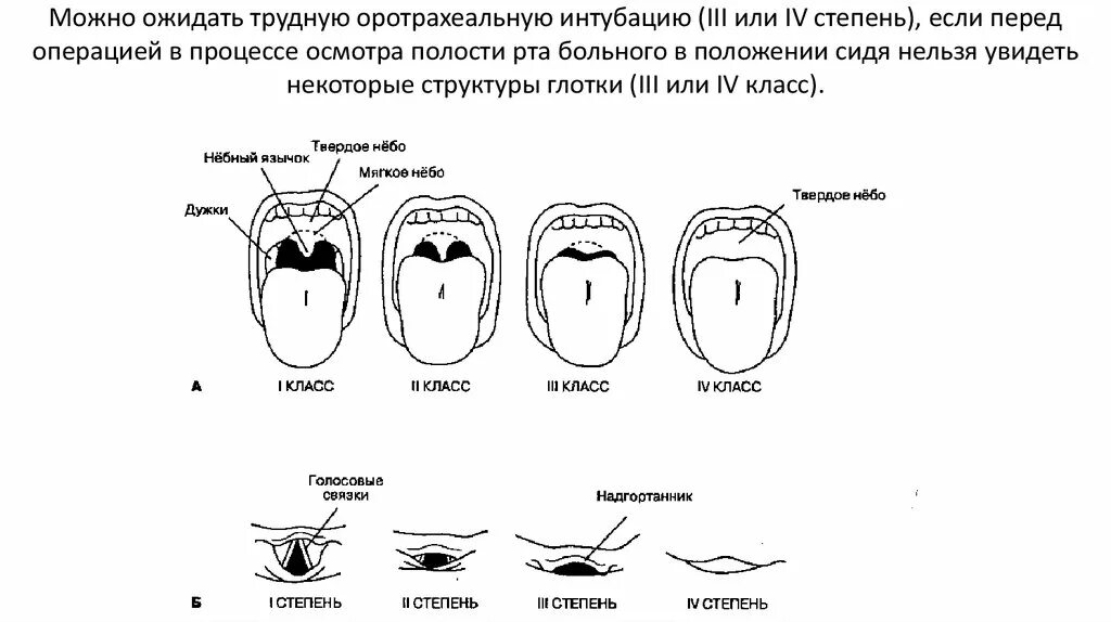 Осмотр ротовой полости алгоритм. Лист профилактического осмотра полости рта. Осмотр полости рта алгоритм хирургия.