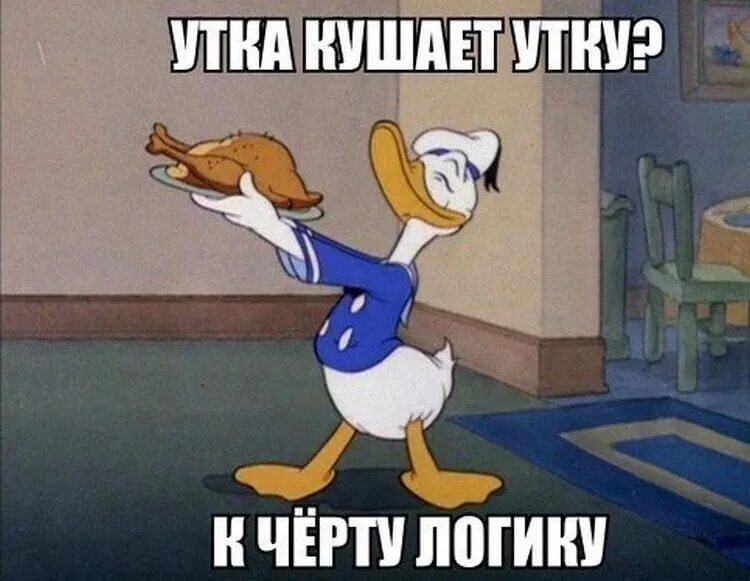 Логика в мультиках. Логика в мультфильмах. логика в мультиках приколы. логика в мультиках с надписями. отсутствие логики в мультфильмах.