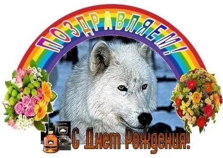 С днем рождения с волком видео