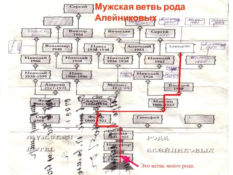 Родословная ветвь. Родословная дерево шежере. Родовая ветка. Генеалогическое древо мякошиных. Родовая ветка.