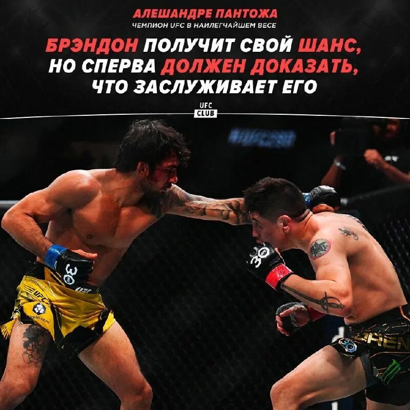 алешандре пантожа боец