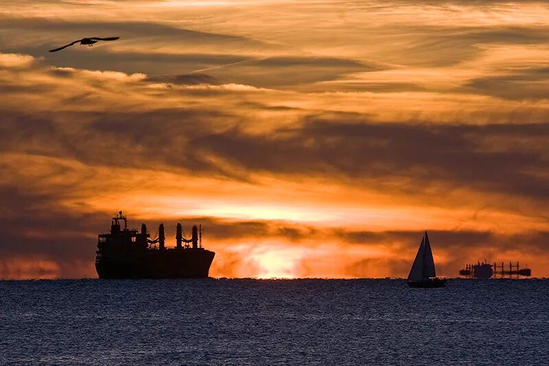 Жгут неба. Жгут неба. Осень в небе жгут корабли слушать. Жгут неба. Космос из бисера.