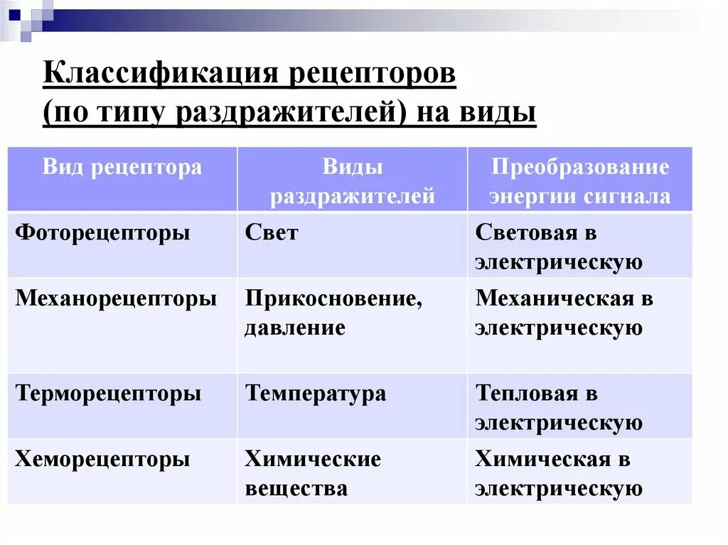 Укажите место расположения рецепторов проприорецепторы экстерорецепторы интерорецепторы Нейрофизиология. Общая нейрофизиология сенсорных систем. (Лекция 5) презентаци