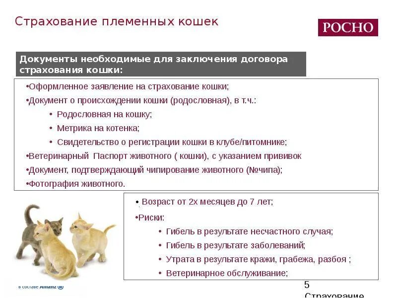 Страхование сельскохозяйственных животных. Страхование животных. договор страхования животных. страхование кошек.