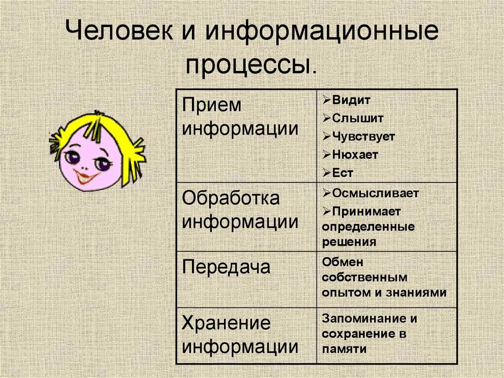 Особенности переработки информации. Информационные процессы. Человек информация и информационные процессы. Информационные процессы хранение передача и обработка. Информационные процессы рисунок.