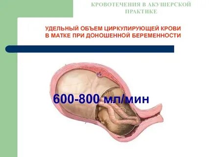 37 неделя беременности кровотечение