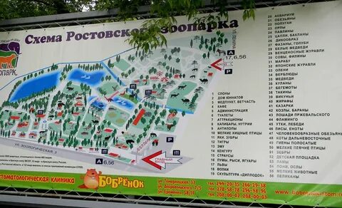 Ростовский зоопарк билеты