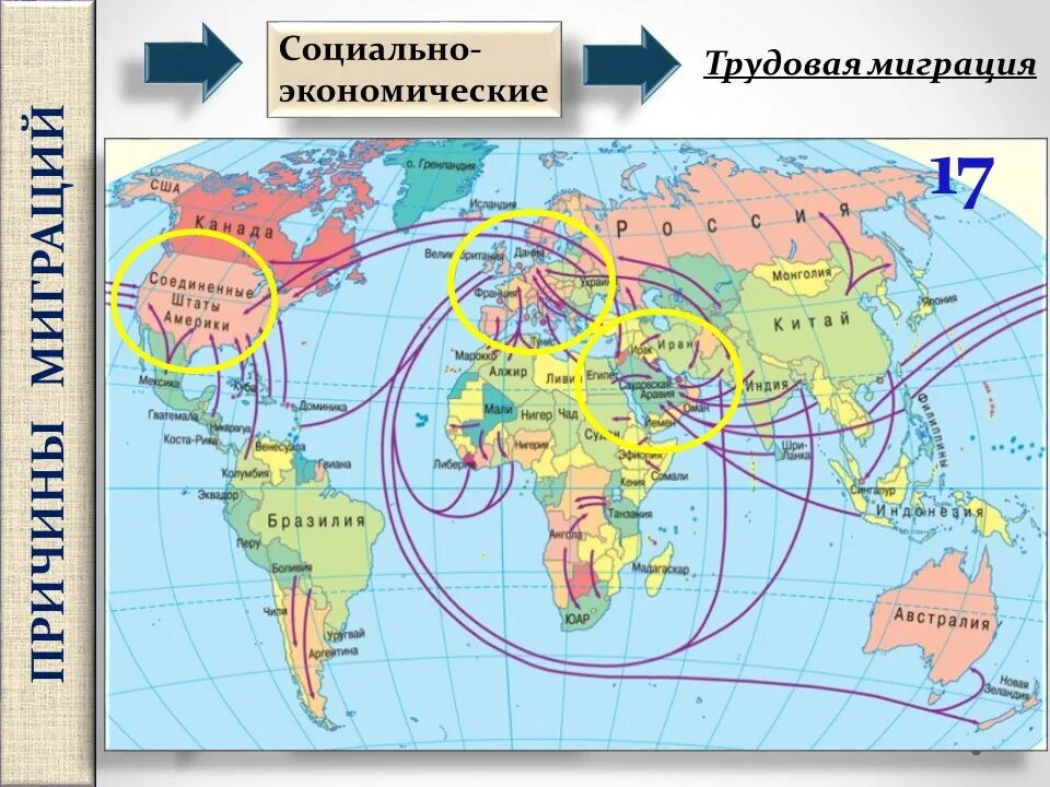 Миграция направление внутренних миграций