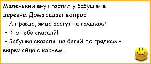Как развеселить бабушку. Анекдоты про бабушек и внуков. анекдот про бабушку и внучку. анекдот про внука. шутки про внуков.