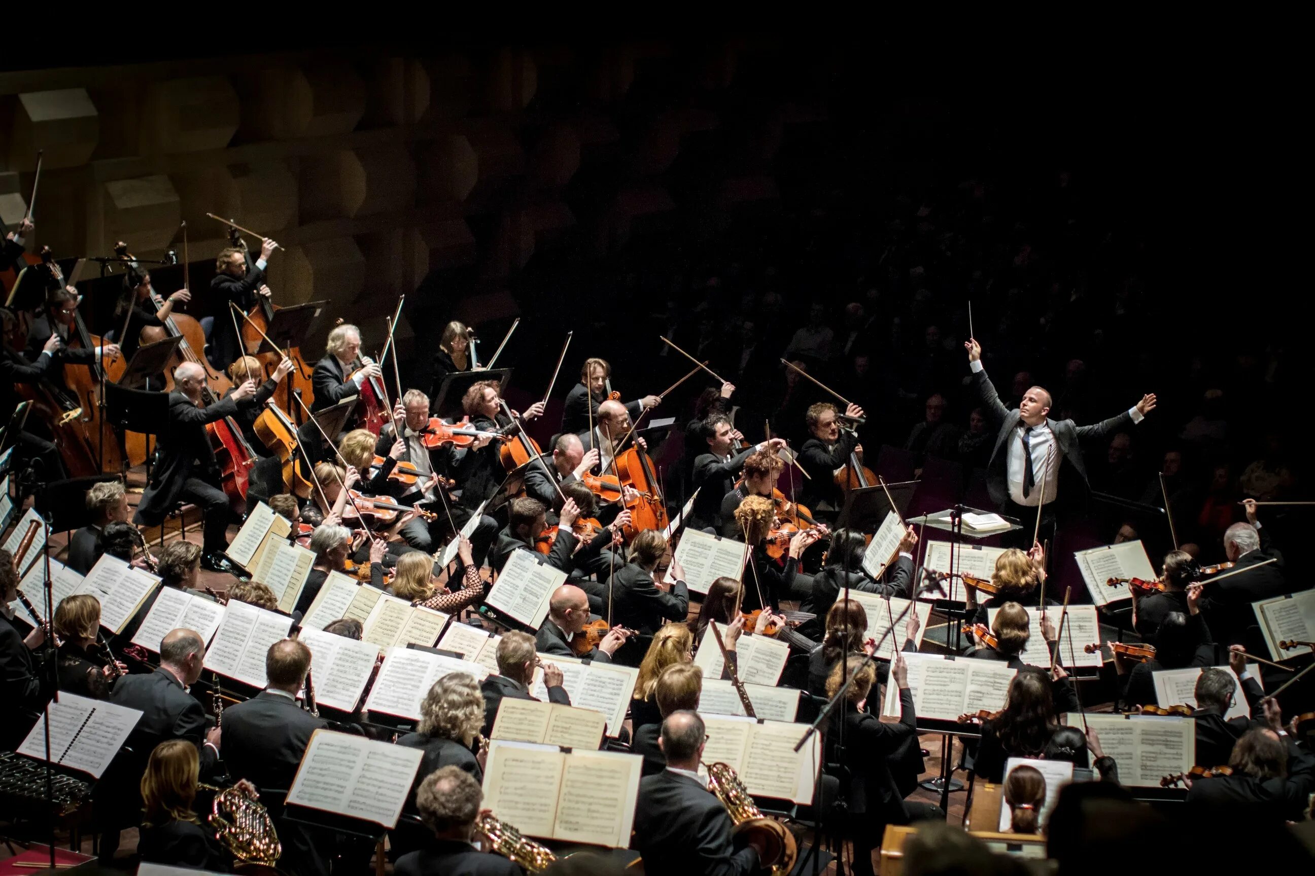 Оркестровая инструментальная музыка. Дирижер и оркестр. Imperial Orchestra дирижер. Оркестр со спины. Оркестр на сцене.