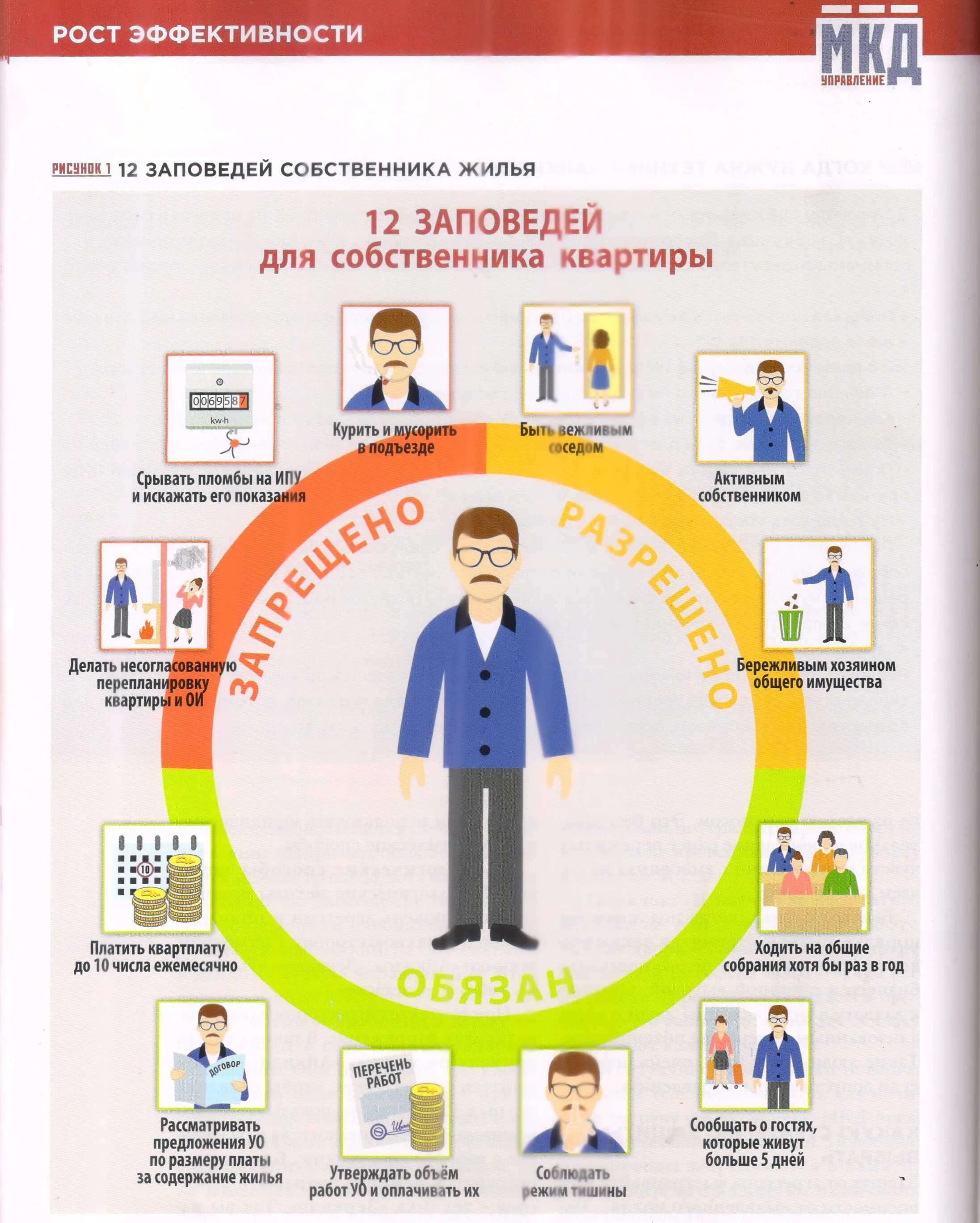 Законные интересы соседей. 12 Заповедей для собственника квартиры. Ответственность собственников жилья в многоквартирном доме. Обязанности собственника жилого помещения картинки.