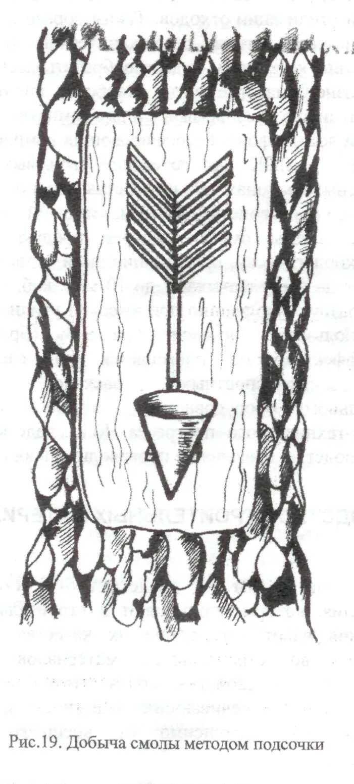 Прозрачная отделка древесины. Катиониты и аниониты ионообменные смолы. Беззондовые методы исследования алгоритм. Форма макромолекулы фенолформальдегидной смолы. Технологическая схема ненасыщенной полиэфирной смолы.