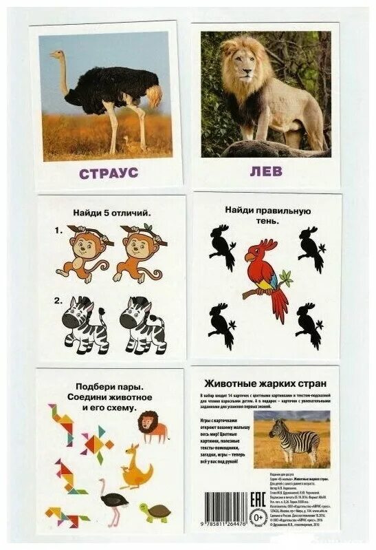 чтение животные жарких стран. чтение животные жарких стран. дикие животные жарких стран. чтение животные жарких стран. животные жарких стран.