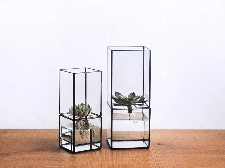 Прозрачные кашпо для цветов. Стеклянные прозрачные горшки для цветов. Стеклянные горшки для суккулентов. Растения в стеклянных горшках. Стеклянный горшок.