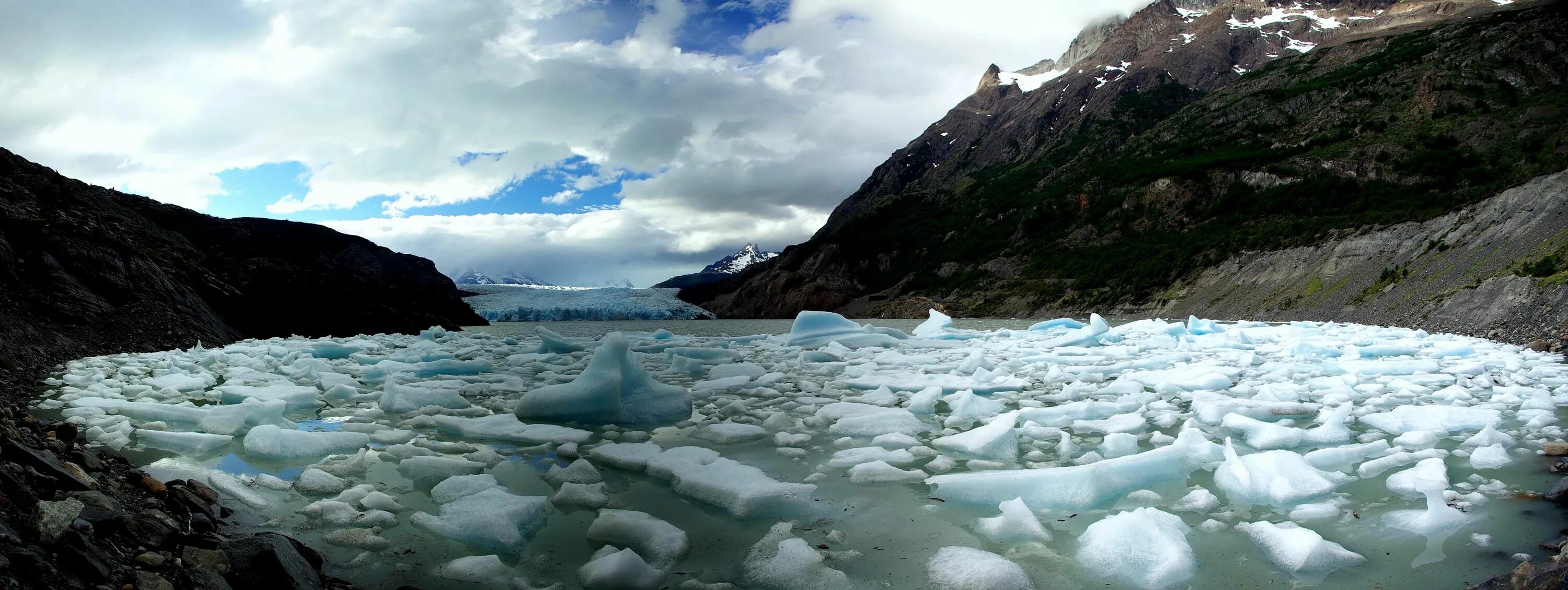 Grey glacier
