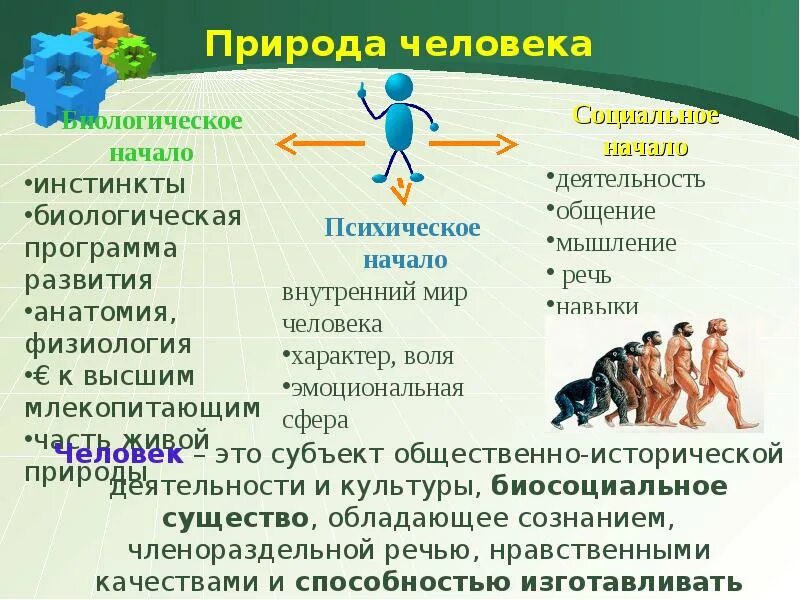 Специфику социальной природы человека. Человек и природа. Стороны человеческой природы. Социальная природа человека. Биологическая и социальная природа человека.