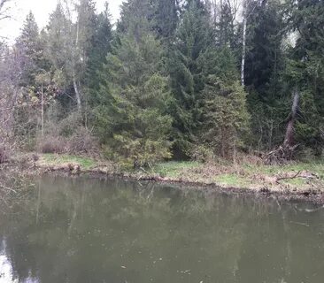 Снт река
