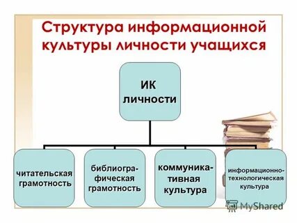 Информационные основы проекта